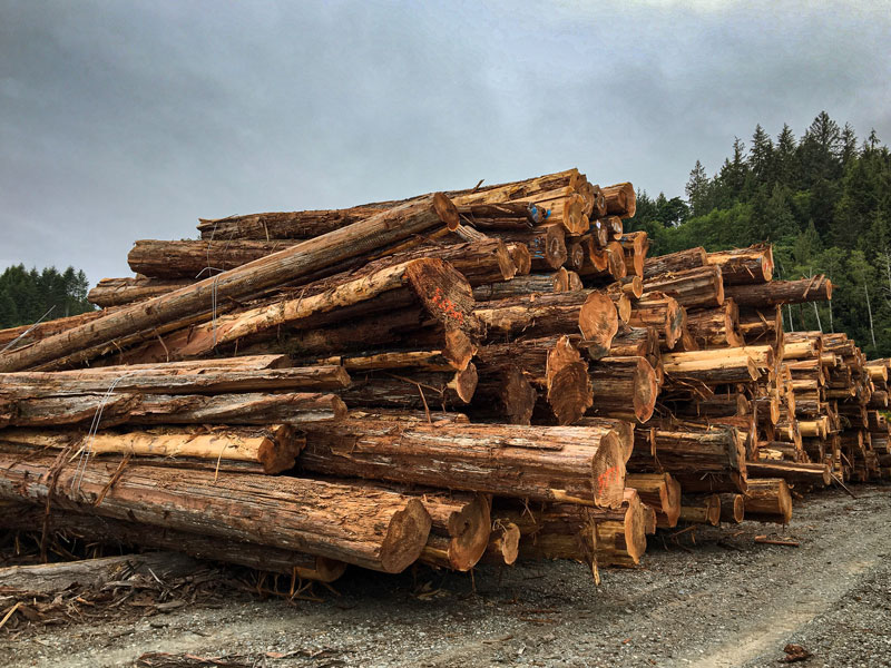 Western Red Cedar - US Timber™